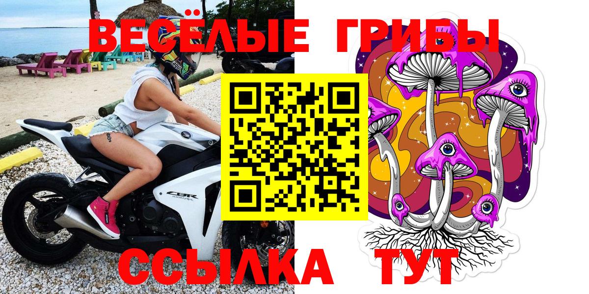 Донской  Псилоцибиновые грибы GOLDEN TEACHER  Вход с VPN 